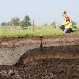 Bodemprofiel archeologie